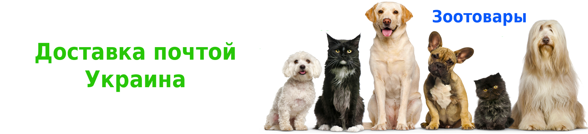 магазин зоотоваров магазин зоотоваров